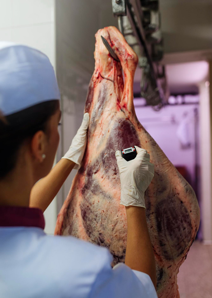 Butcher shop | Factory Solutions